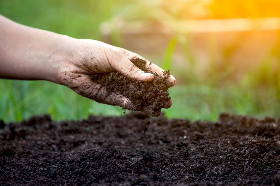 Agricultural Fertilizer for Crop Nutrition and Commercial Farming Supply